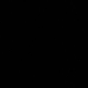 Meet your Posher, Ivy